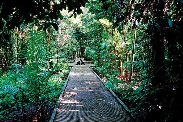 Ingham, QLD - Caravan World Australia