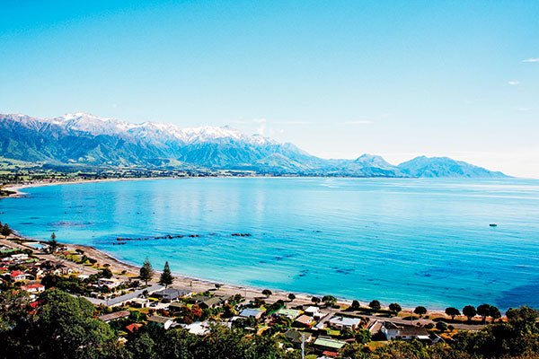 Is the show calendar becoming a little crowded? - Caravan World Australia