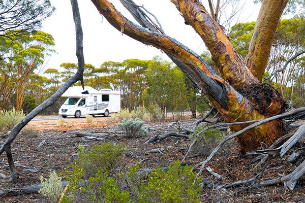 Kalgoorlie to Fremantle, WA - Caravan World Australia