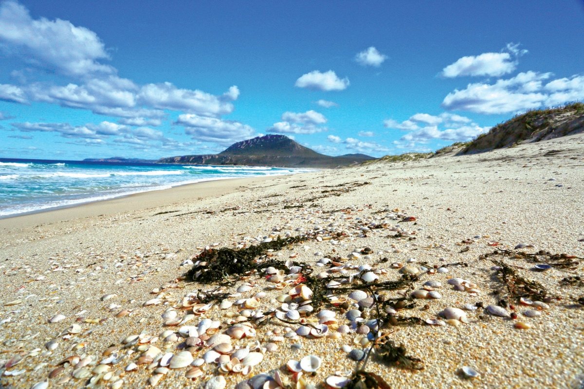 Fitzgerald River National Park, WA - Caravan World Australia