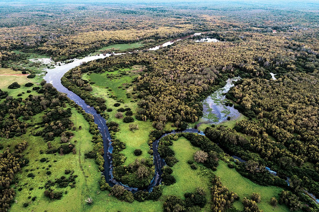 Mary River National Park, NT: The best things to see and do - Caravan World Australia