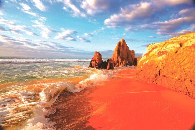 Mimosa Rocks National Park NSW - Caravan World Australia