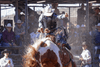 Mt  Isa Rodeo Is On - Caravan World