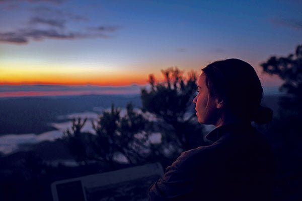 Mt Warning Summit Track - Caravan World Australia