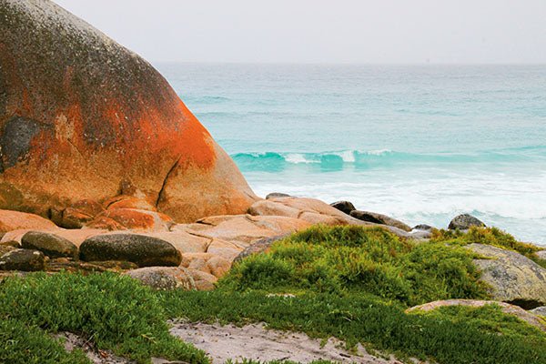 Mt William National Park, TAS - Caravan World Australia