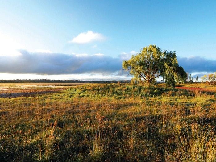 New England, The Southern Way — Part 2 - Caravan World Australia