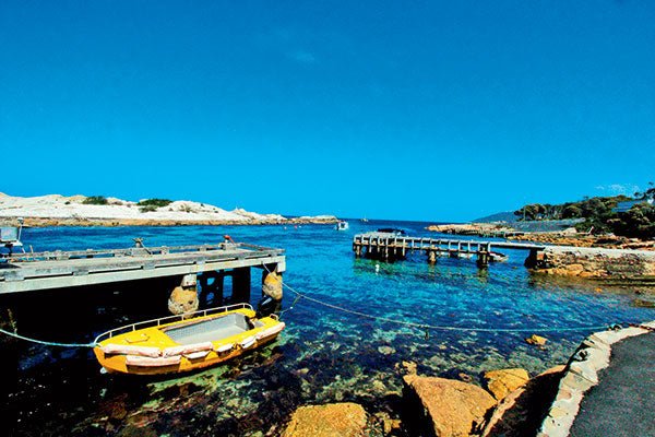 New fishing technology - Caravan World Australia