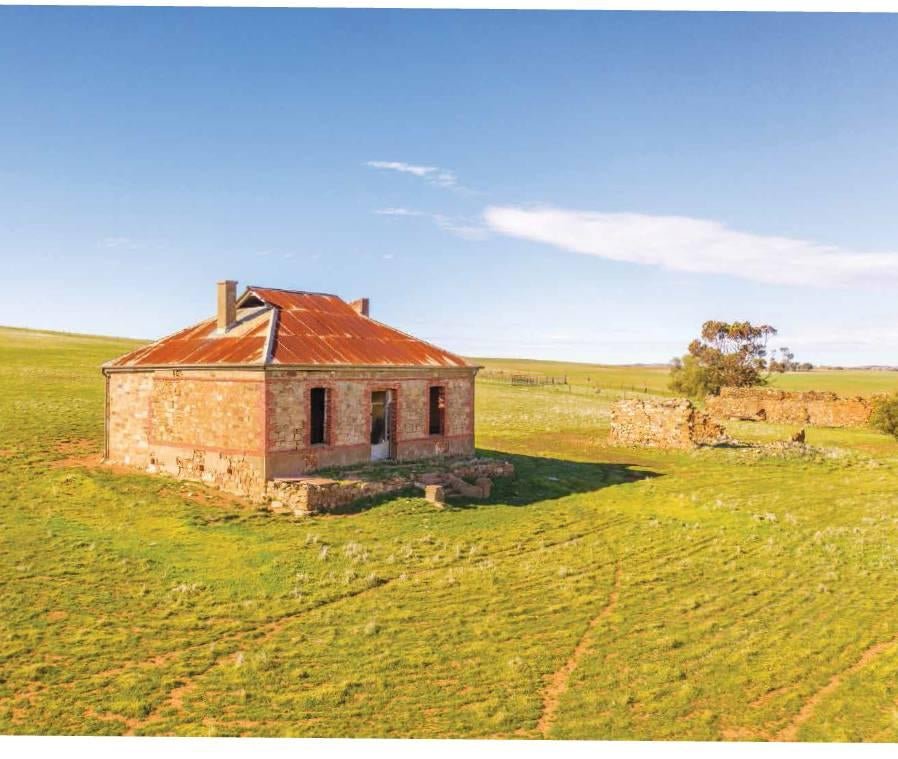 Paddle Along the Murray's Past - Caravan World Australia