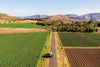 Plan a scenic spring getaway to the Lockyer Valley, Qld - Caravan World Australia