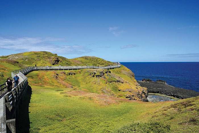 Plan the ultimate trip to Phillip Island, Victoria - Caravan World Australia