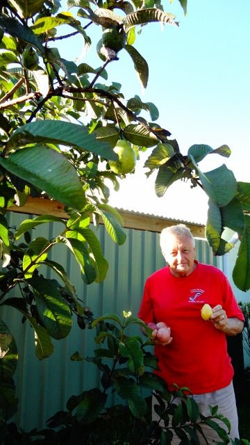Produce in Parks: Blog - Caravan World Australia