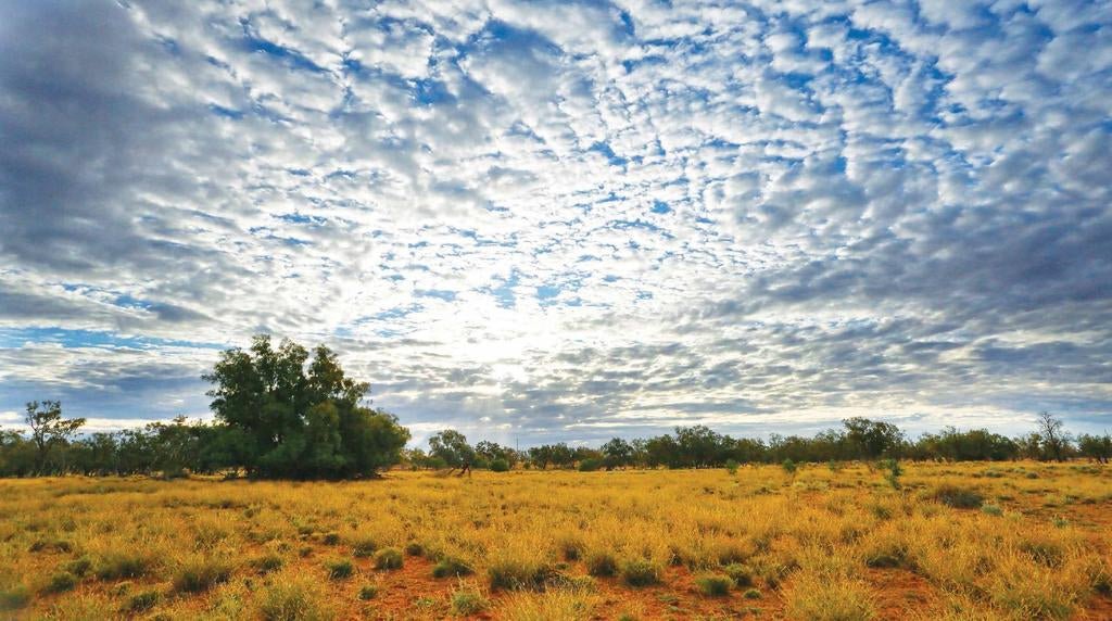 Queen of the plains: Charlotte Plains Station, Qld - Caravan World Australia