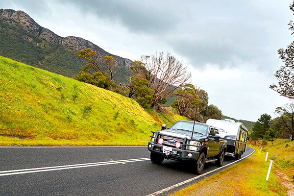 Reducing roadkill - Caravan World Australia