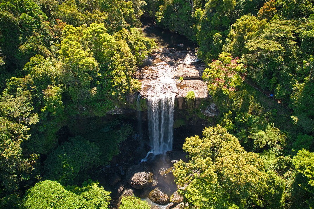 Road trip adventure through Atherton Tablelands, Queensland - Caravan World Australia