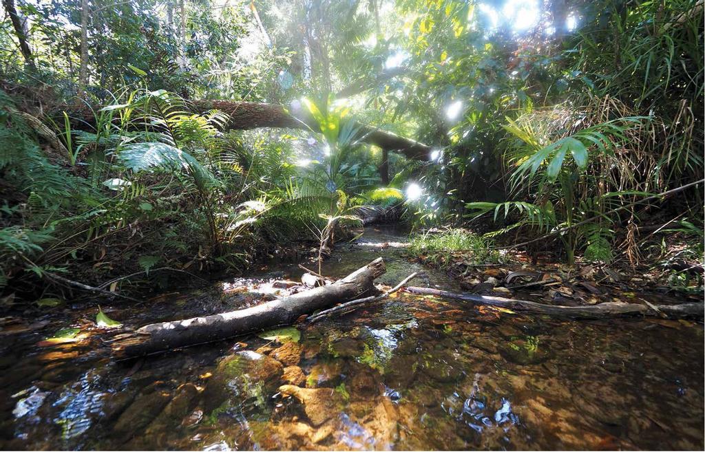 Rocky Rocks - Caravan World Australia