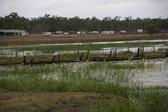 Saturday Spotlight: Overnighting in St. Lawrence, Qld - Caravan World Australia