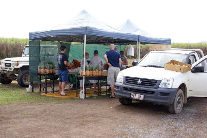 Saturday Spotlight: Skip's Place Overnight Stay - Caravan World Australia