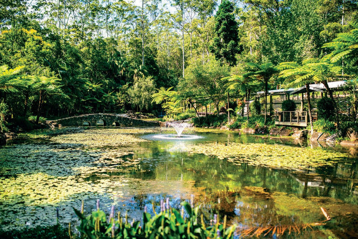 Scenic Rim Adventure - Caravan World Australia