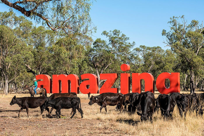 Sculpture Down the Lachlan art trail finished, Central NSW - Caravan World Australia