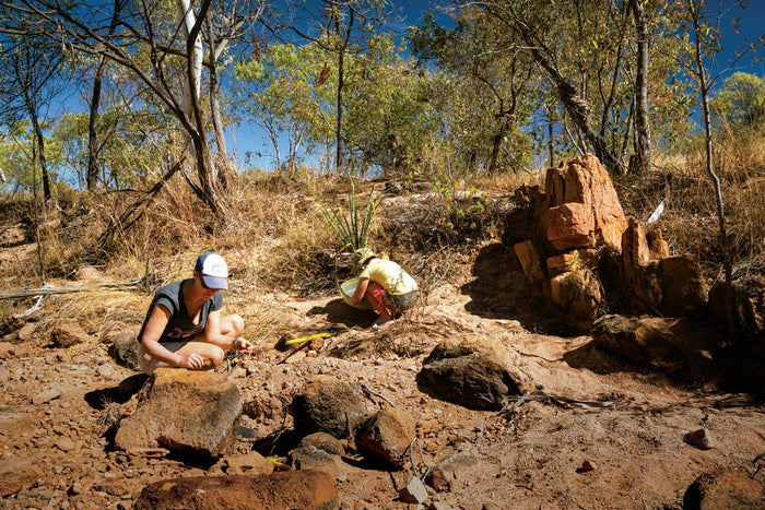 See Something Shiny - Caravan World Australia
