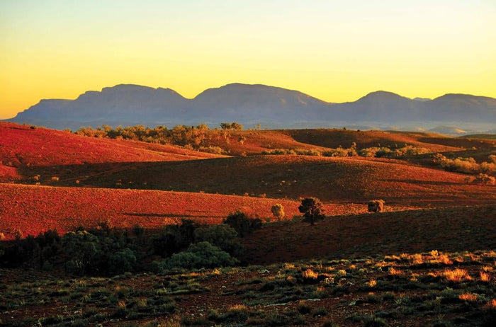 Serpentine Secrets - Caravan World Australia