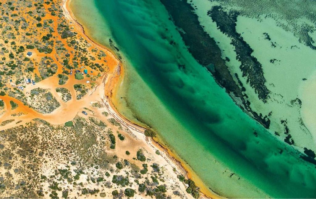 Shark Bay, WA: A natural icon - Caravan World Australia