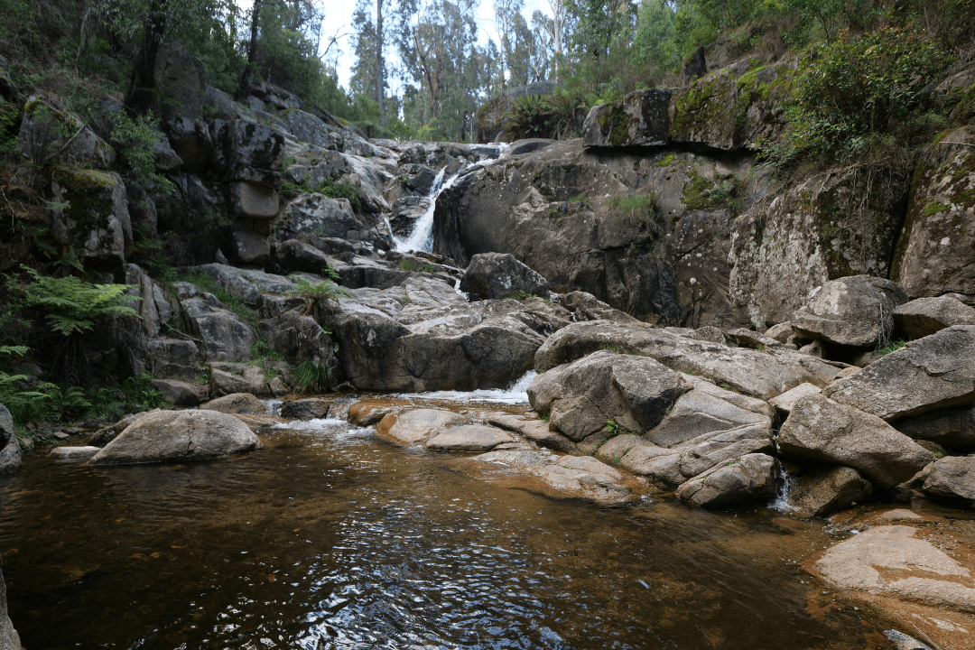 Six Mile Creek NSW: A Peaceful Bush Camping Escape