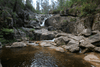Six Mile Creek NSW: A Peaceful Bush Camping Escape - Caravan World