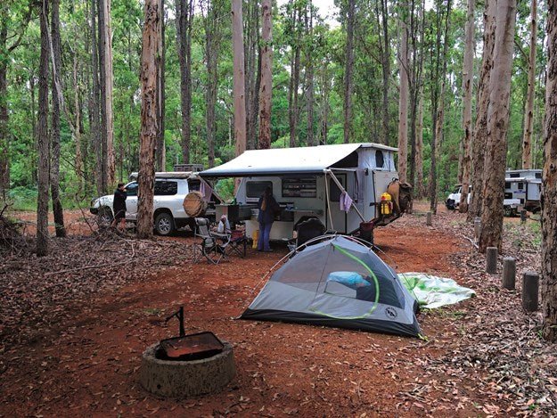 Southern Forest Region, WA - Caravan World Australia