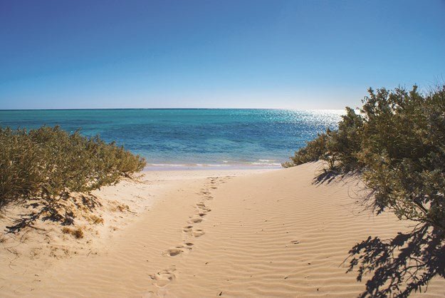 Summer Survival Tips - Caravan World Australia