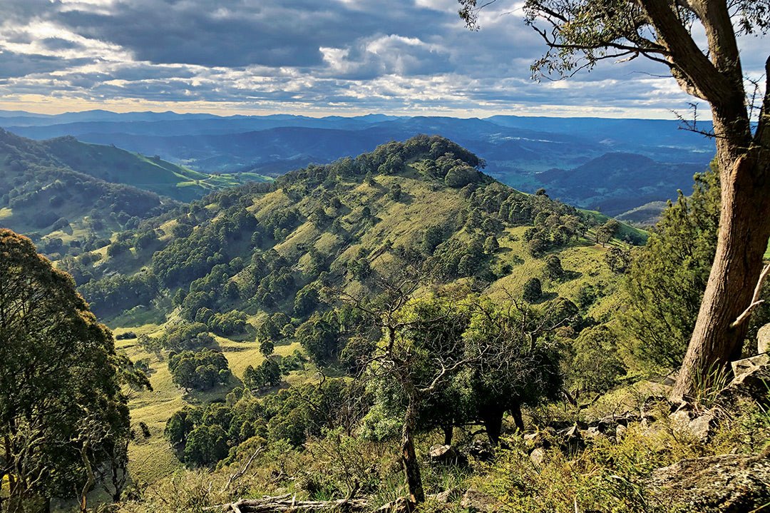 The best of the Barrington Tops National Park, NSW – Caravan World ...