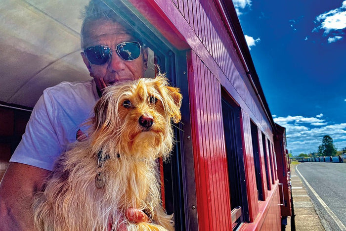 The best places to go with your pets during your Big Lap - Caravan World Australia