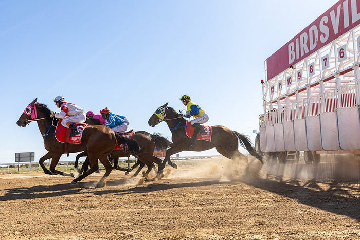 The Birdsville Races are back for 2025 — don’t miss out! - Caravan World Australia