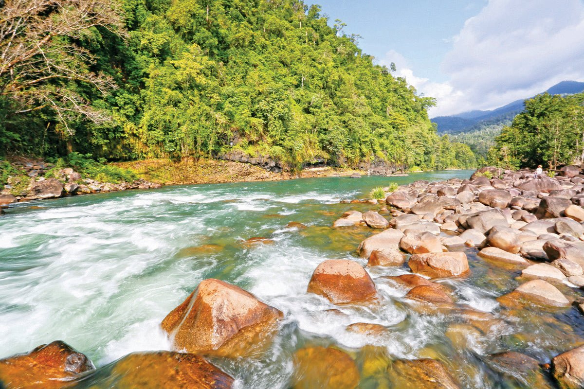 The Great Green Way: Townsville and Cairns, Qld - Caravan World Australia