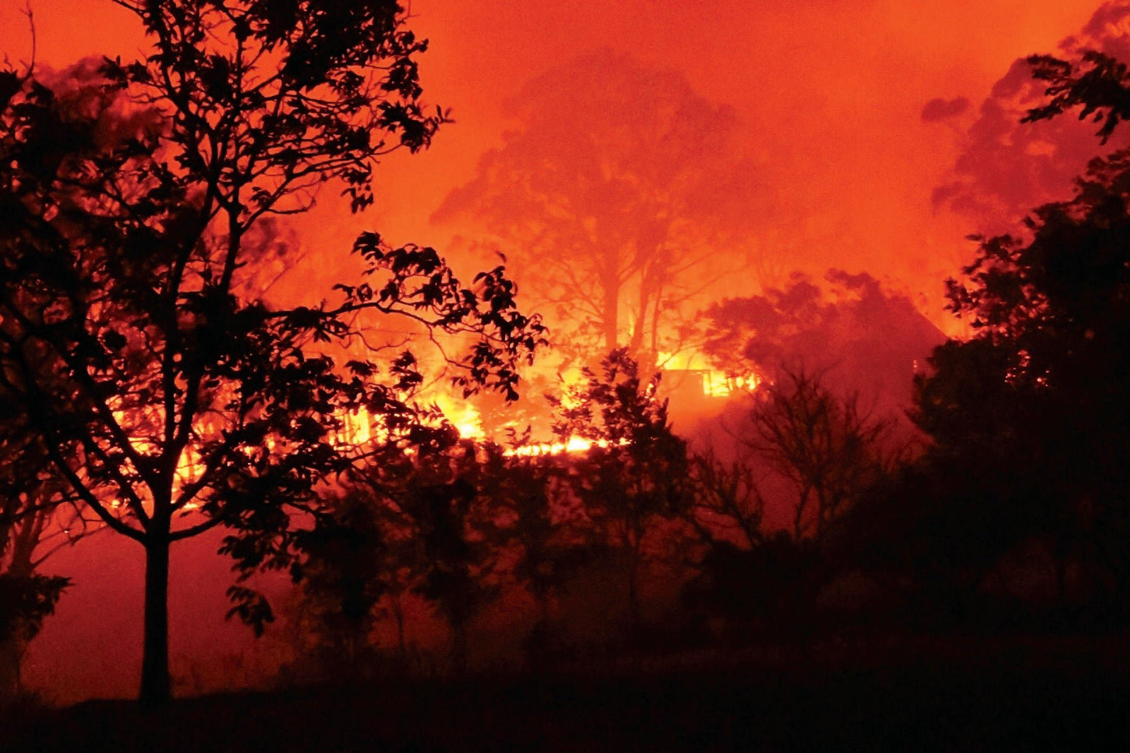 The South Coast Fires - Caravan World Australia