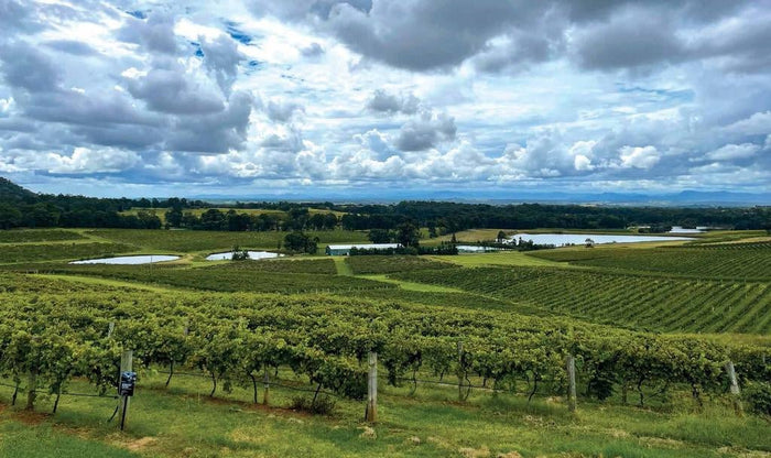 The Wine Chick: Oh Yeah, Rose! - Caravan World Australia