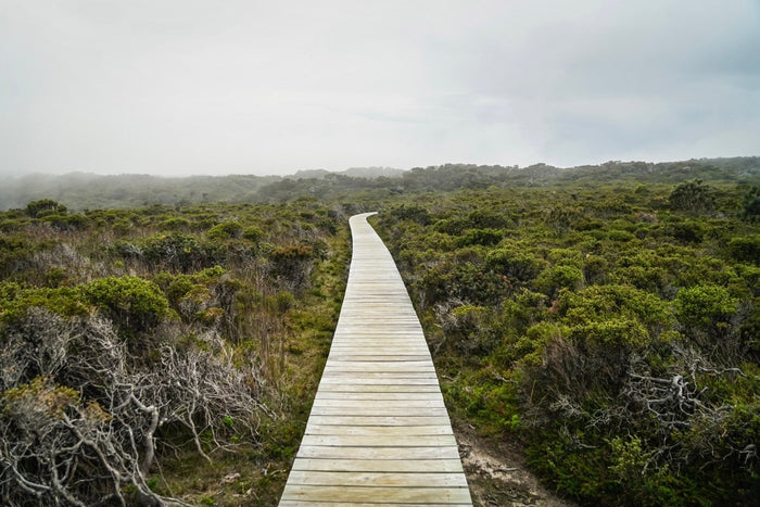 Three Capes Track - Caravan World Australia