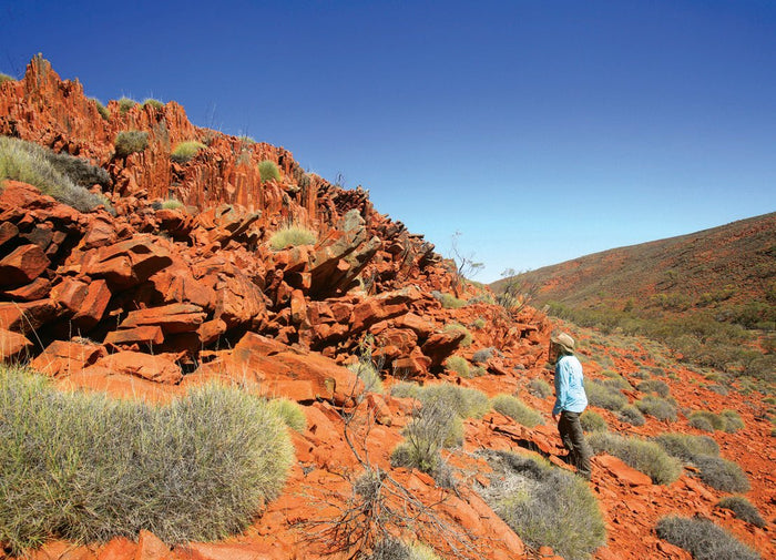 Touring the Gawler Ranges - Caravan World Australia