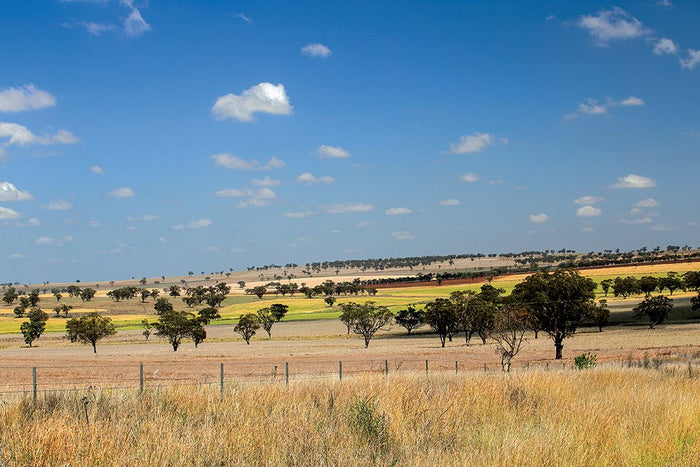Touring the Upper Hunter Region in NSW with a caravan - Caravan World Australia