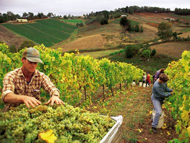 Travel: 5 Easy-to-Reach Beauties - Caravan World Australia