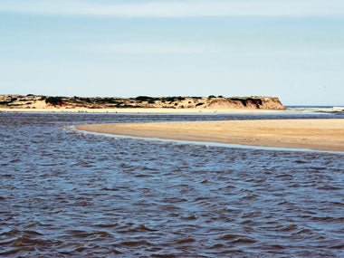 TRAVEL: COORONG CRUISE, SA - Caravan World Australia