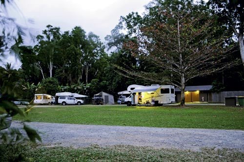 Travel: Daintree Rainforest - Caravan World Australia