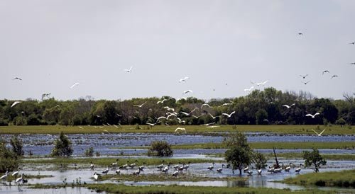 TRAVEL: ROCKHAMPTON, QLD - Caravan World Australia