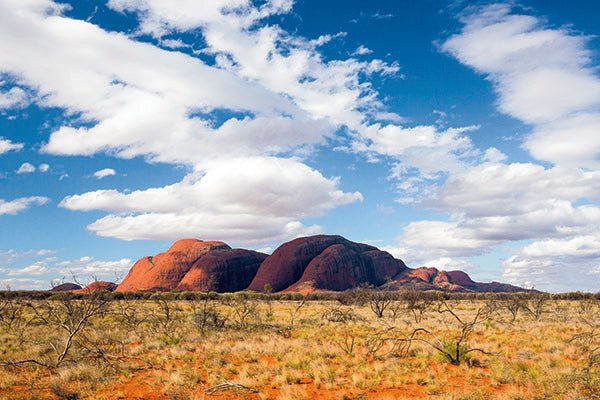 Travel The Great Central Road, WA - Caravan World Australia