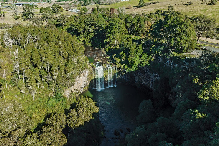 Waterfall Way: Is this NSW's most scenic road trip? - Caravan World Australia