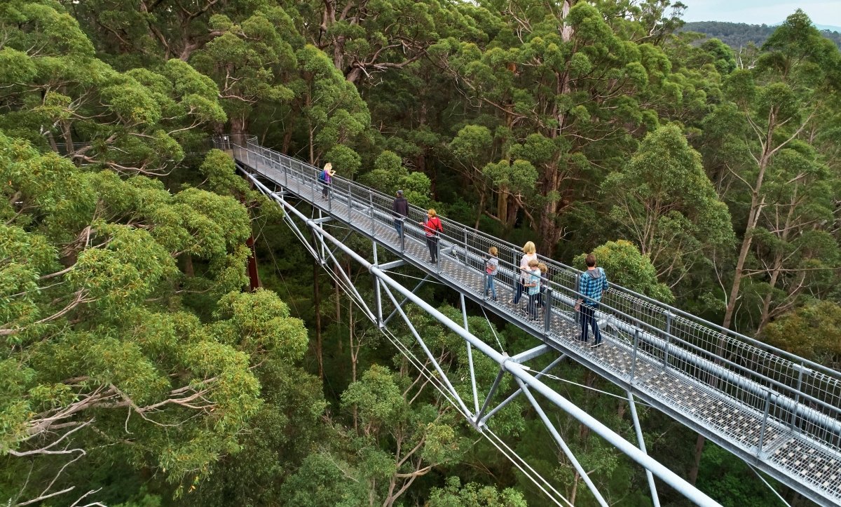 Wild Wild West - Caravan World Australia