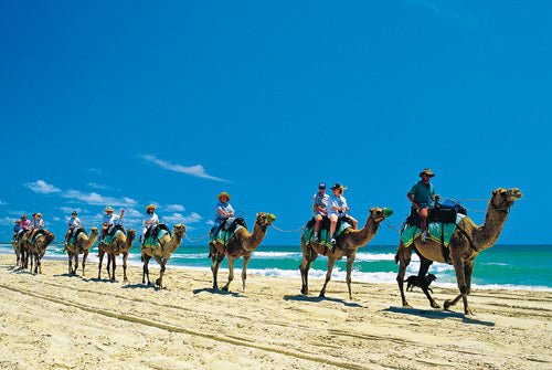 Wilderness caravanning in Noosa, QLD - Caravan World Australia