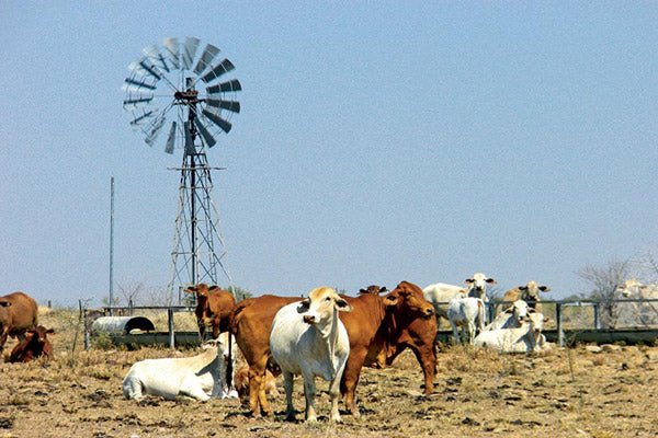 Winton, QLD - Caravan World Australia