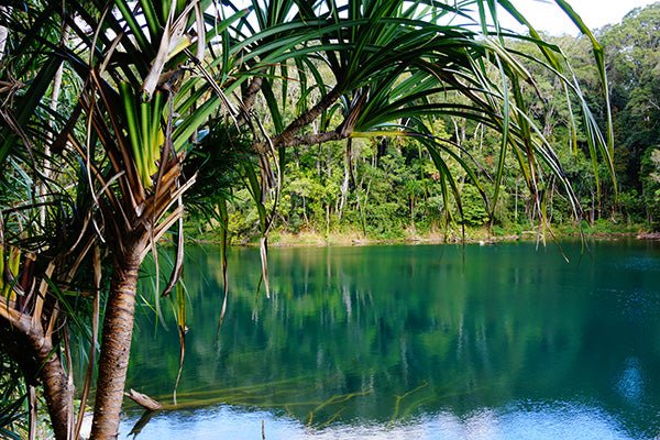 Yungaburra, QLD - Caravan World Australia