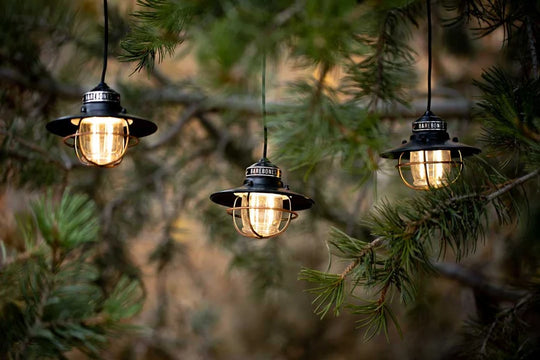 Barebones - Edison String Lights (Bronze)